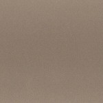 Champagne Gold - 907