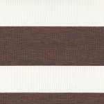 Hong Kong - Chocolate (Semi-Translucent)