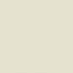 Egg Shell - 127