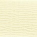 Ivory (Off-White) - Chalk - Textured Finish