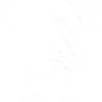 White - Chalk - Textured Finish