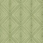 Mayari - Kiwi