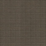 Olive-223