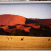 blinds direct africa printed roller blind