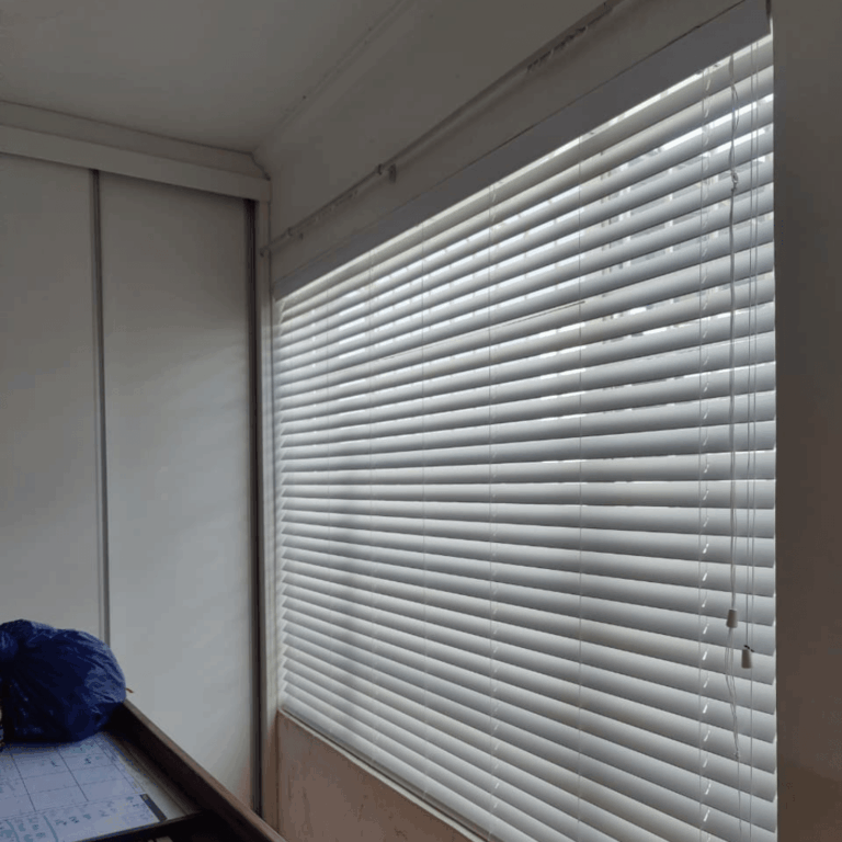 blinds direct plaswood snow timeless smooth, white