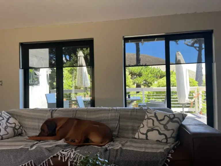 light filtering roller blind charcoal in lounge