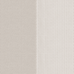 Dove Translucent