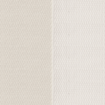 Shell Translucent
